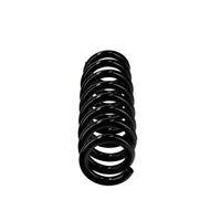 Par de Espirales Traseras EIBACH R23056 — BMW Serie 3 / Serie 4 2012-2021