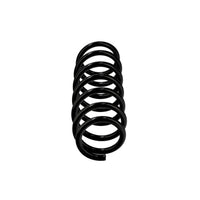 Par de Espirales Traseras EIBACH R23090 — BMW Serie 5 / Serie 6 2009-2018
