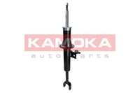 Par de Amortiguadores Delanteros KAMOKA 2000651 + 20341032 — BMW Serie 5 / Serie 6 2009-2018