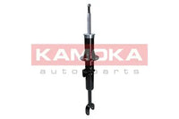 Par de Amortiguadores Delanteros KAMOKA 2000651 + 20341032 — BMW Serie 5 / Serie 6 2009-2018
