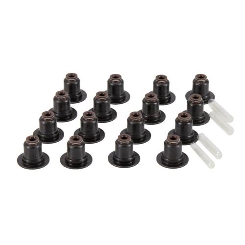 Kit Junta Culata ELRING + Valvulas TRW BMW Serie 1 F20 Motor N13B16A