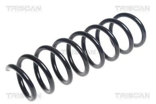 Par de Espirales Traseras TRISCAN 8750 11203 — BMW Serie 5 2010-2016