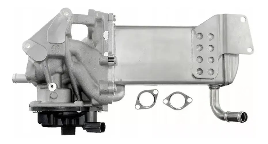 Valvula EGR Echlin Volkswagen Amarok 2012-2018