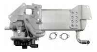 Valvula EGR Echlin Volkswagen Amarok 2012-2018