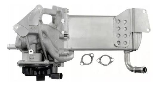 Valvula EGR Echlin Volkswagen Amarok 2012-2018