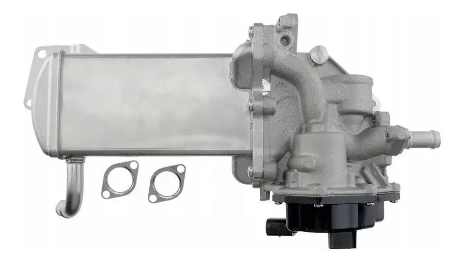 Valvula EGR Echlin Volkswagen Amarok 2012-2018