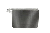Evaporador THERMOTEC KTT150026 — BMW Serie 5 / Serie 6 2000-2010