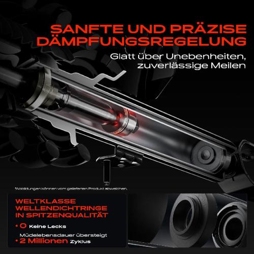 Par de Amortiguadores Traseros · Suspensión Estándar · Frankberg 5481FB0025463 — BMW Serie 1 / Serie 2 / Serie 3 / Serie 4 2011-2021