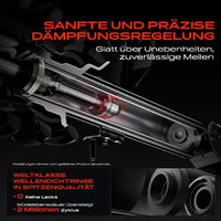 Par de Amortiguadores Traseros · Suspensión Estándar · Frankberg 5481FB0025463 — BMW Serie 1 / Serie 2 / Serie 3 / Serie 4 2011-2021