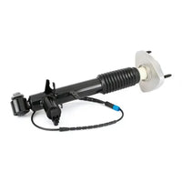 Par de Amortiguadores Traseros · Suspensión Adaptativa · Arnott SK-3817 + SK-3816 — BMW X5 / X6 2013-2019