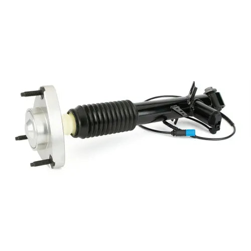 Par de Amortiguadores Traseros · Suspensión Adaptativa · Arnott SK-3817 + SK-3816 — BMW X5 / X6 2013-2019