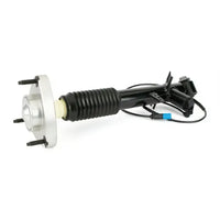 Par de Amortiguadores Traseros · Suspensión Adaptativa · Arnott SK-3817 + SK-3816 — BMW X5 / X6 2013-2019