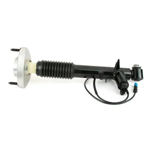 Par de Amortiguadores Traseros · Suspensión Adaptativa · Arnott SK-3817 + SK-3816 — BMW X5 / X6 2013-2019