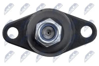Par de Rótulas Delanteras Inferiores NTY ZSD-BM-001 — BMW X1 / Serie 3 / Serie 5 / Serie 6 / Serie 7 1994-2015
